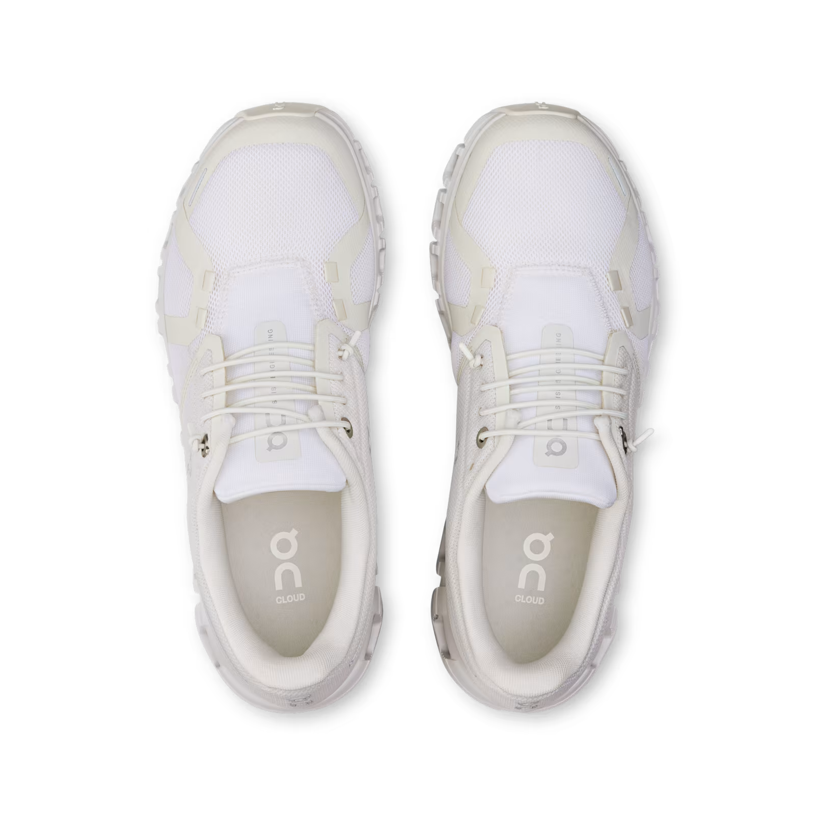 ON Cloud 6 Women's Trainers