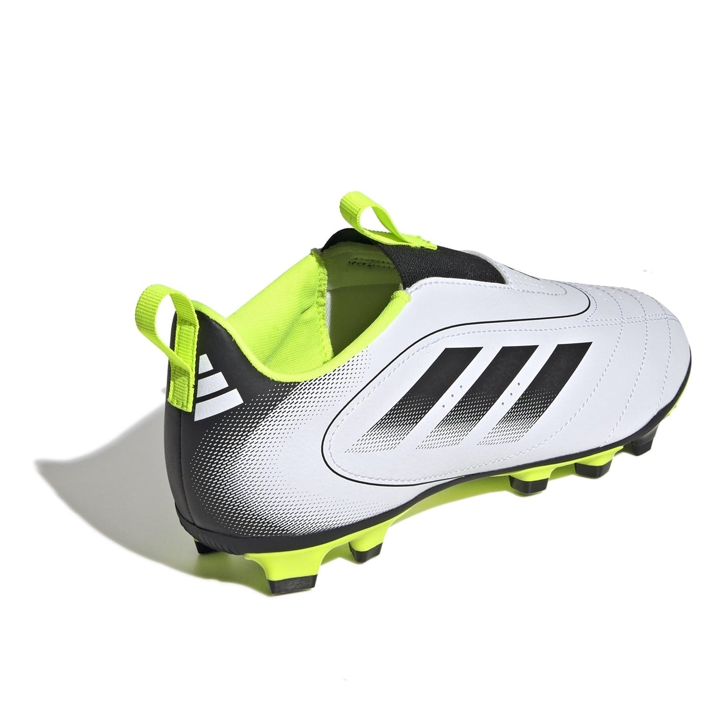 08006899_xxl_a3.jpg