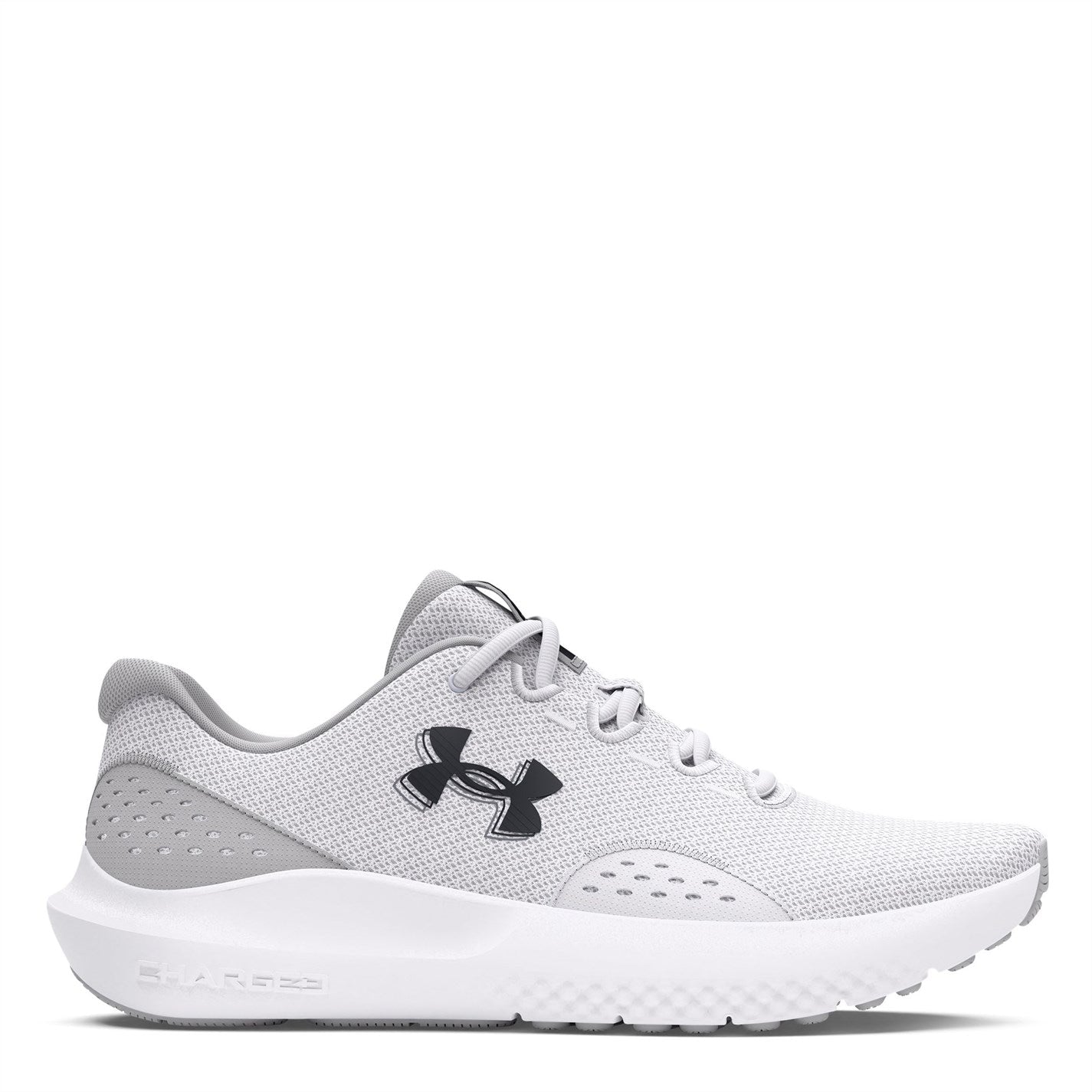 12872201_xxl.jpg