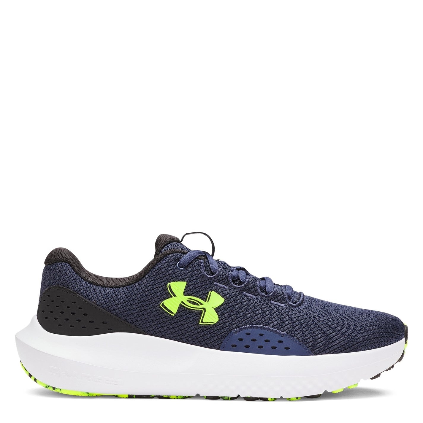 12872222_xxl.jpg