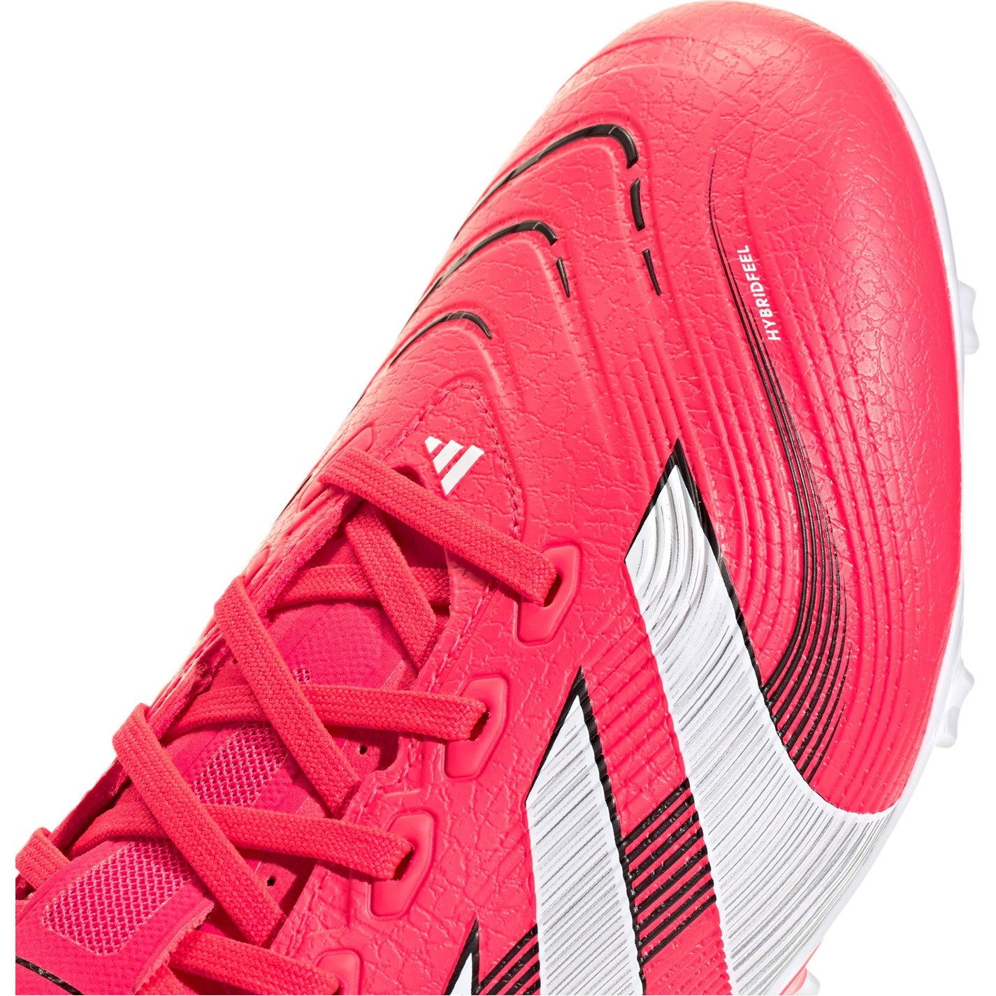 20379608_xxl_a6.jpg